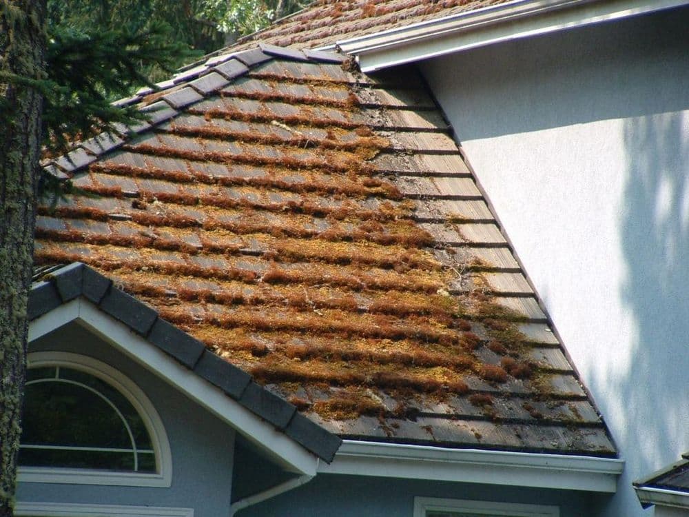 Roof with moss and debris buildup, highlighting maintenance needs for homeowners.